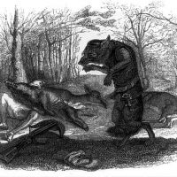 Le Loup et le Chasseur