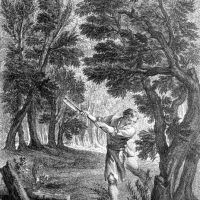 La Forêt et le Bûcheron