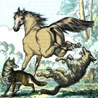 Le Renard, le Loup, et le Cheval