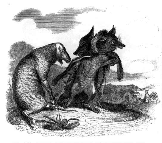 Le Loup et le Renard