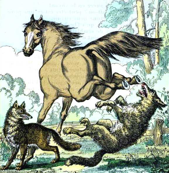 Le Renard, le Loup, et le Cheval